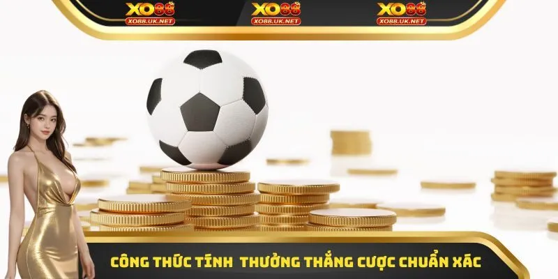 Công thức tính tiền thưởng thắng cược chuẩn xác